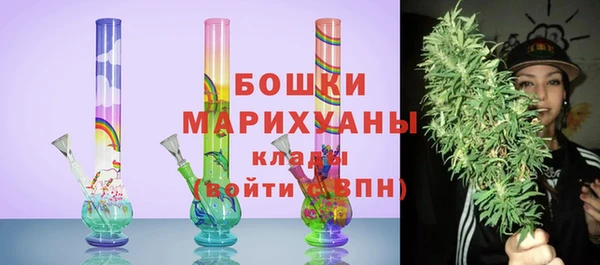 шишки Магас