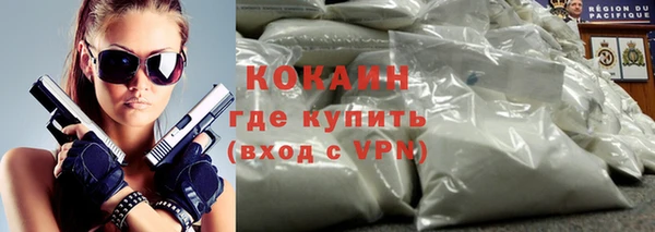шишки Магас