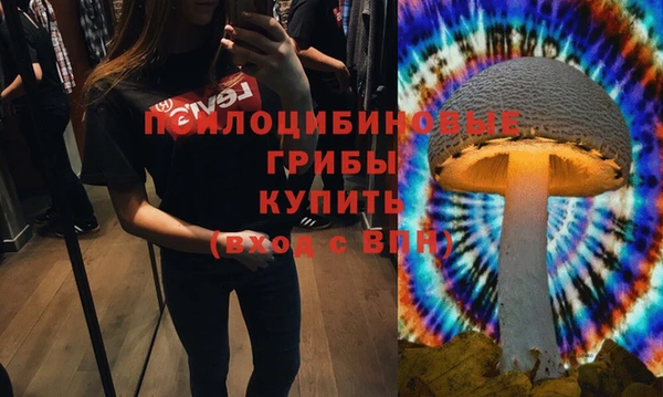 шишки Магас
