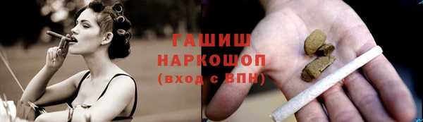 шишки Магас