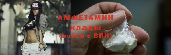шишки Магас