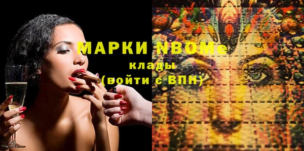 шишки Магас