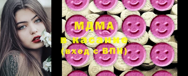 шишки Магас