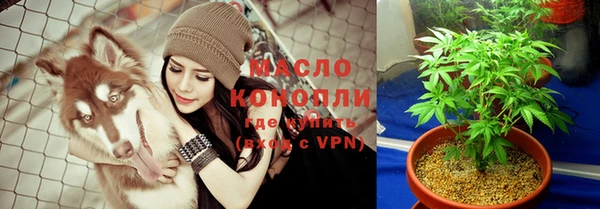 шишки Магас