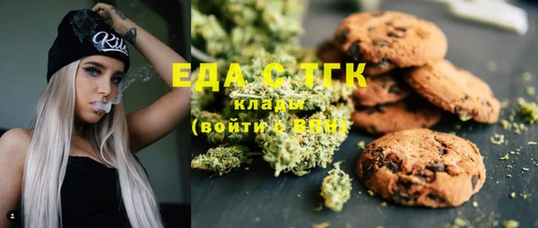 шишки Магас