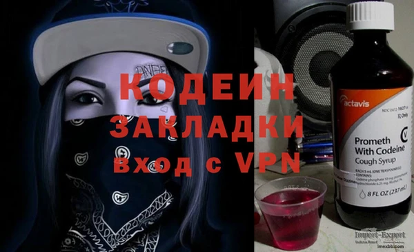 шишки Магас